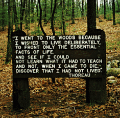 thoreau