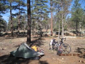 10715720_937374299612291_521840746_n